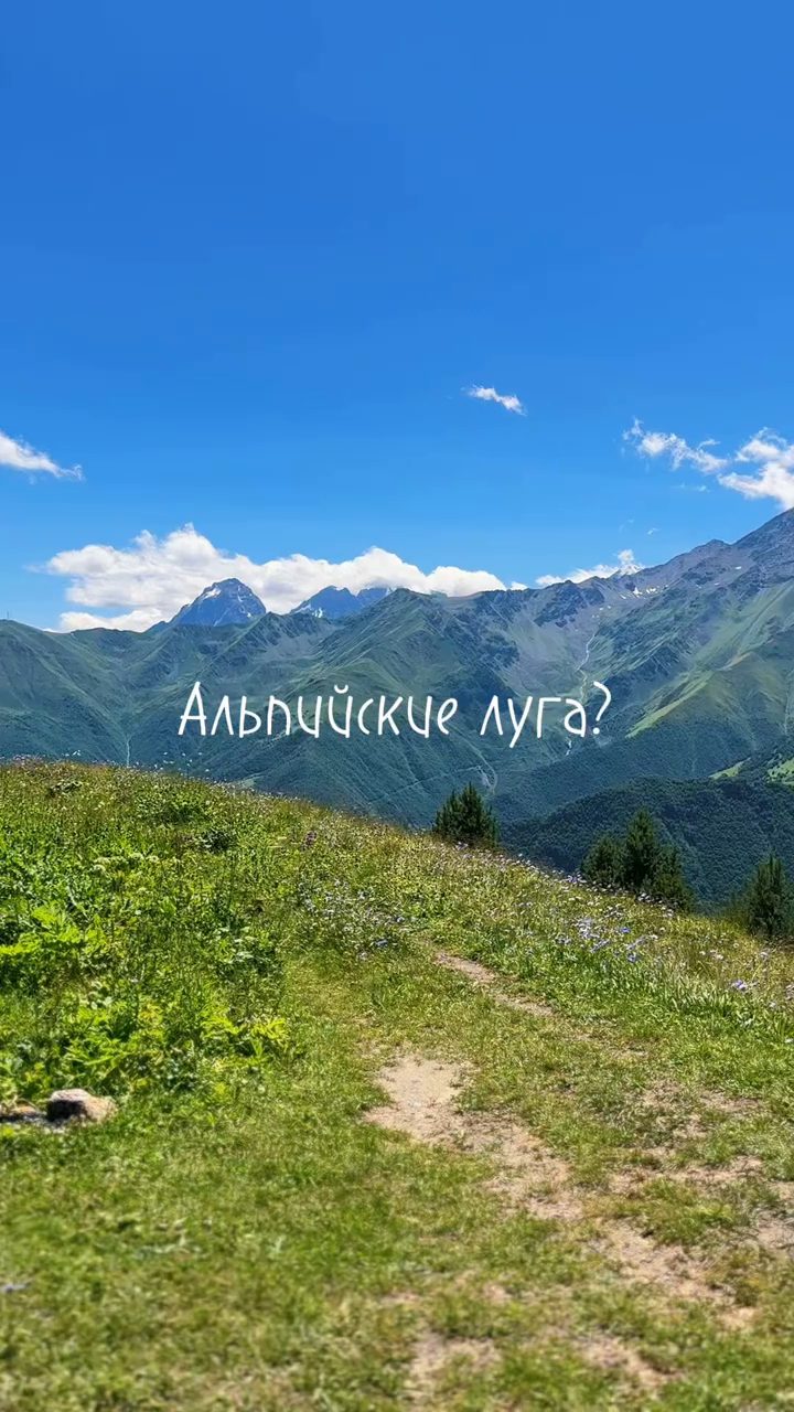 Альпийские луга, надпись «Нет, Северная Осетия!»